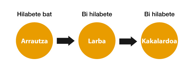 Tenebro Molitorren ekoizpen prozesua