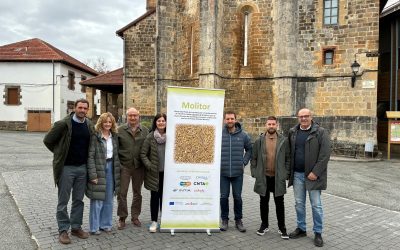 Desarrollo Piloto de la Producción y Transformación de Tenebrio molitor para la diversificación de actividad económica y desarrollo rural en el Pirineo oriental Navarro