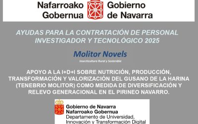 Ayudas para la contratación de personal investigador y tecnológico 2025